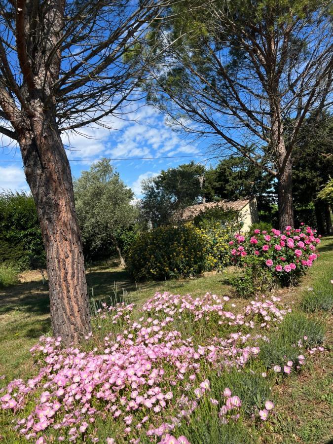 Mas De L'Estiou Apartment Monteux Bagian luar foto